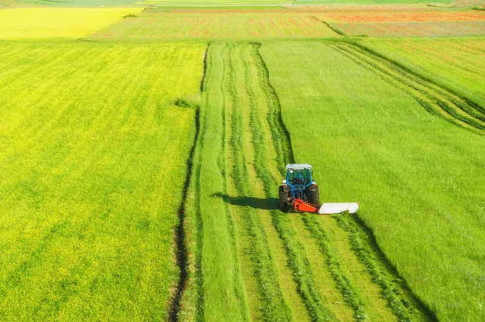Co to jest Hektar i ile ma metrów kwadratowych